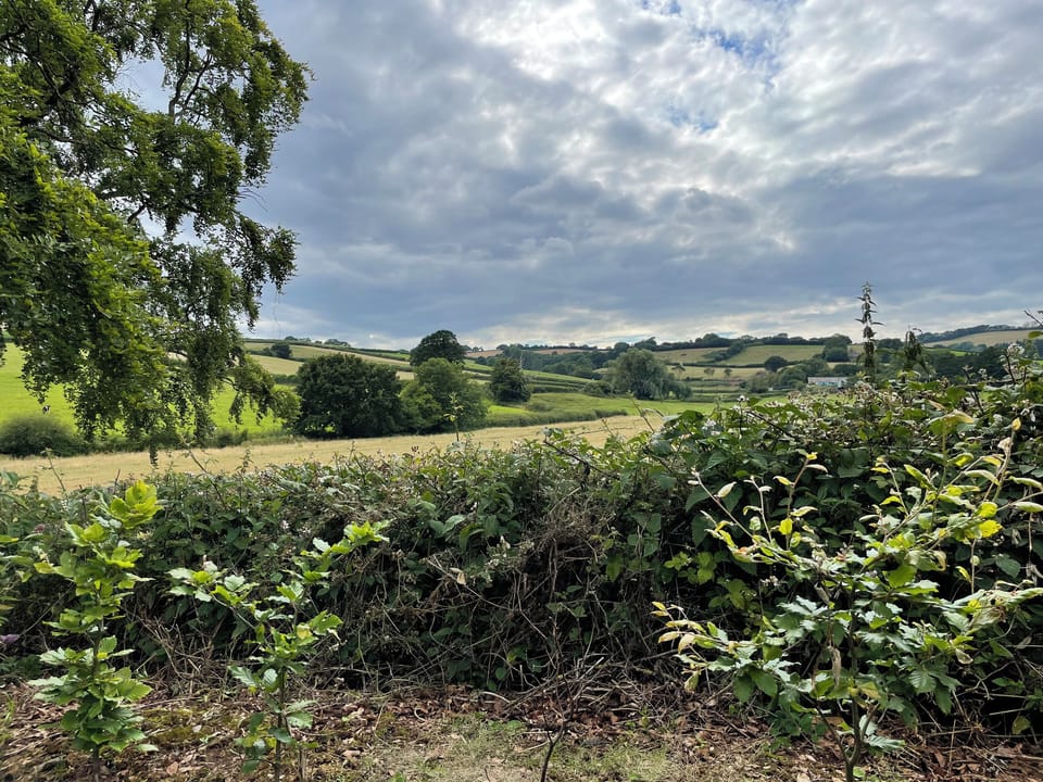 Cottage | Miscellaneous