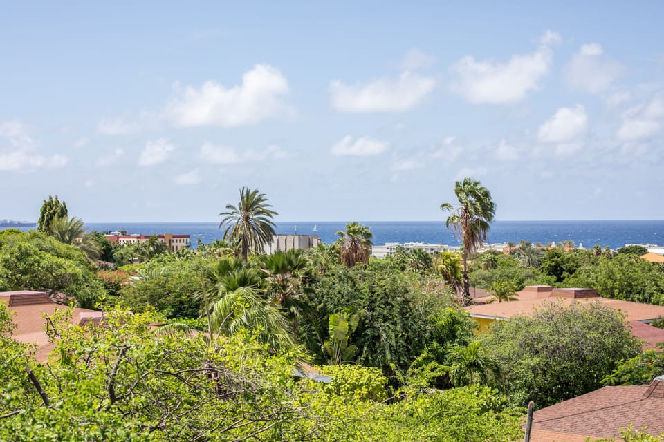 Ocean view