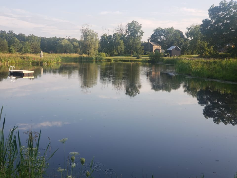You are welcome to fish, swim, or paddleboard in our 2 acre pond