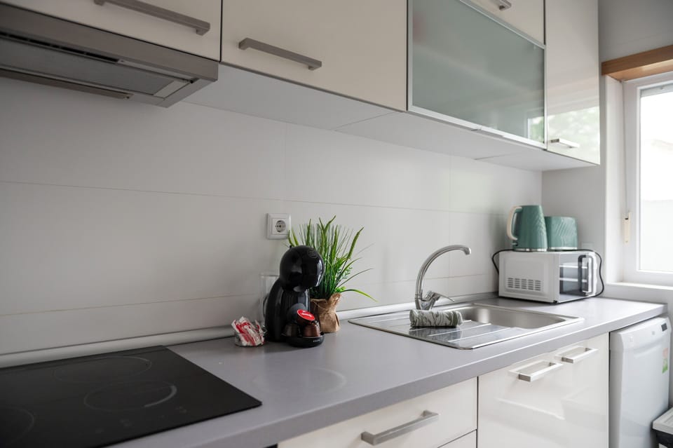 Apartment | Private kitchen | Full-size fridge, microwave, oven, stovetop