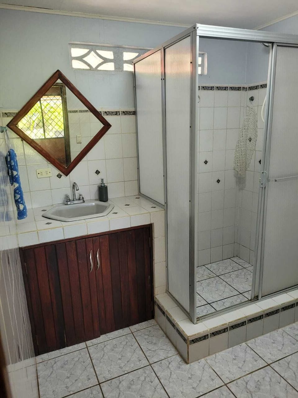 Downstairs bathroom, hot water and shower + toilet