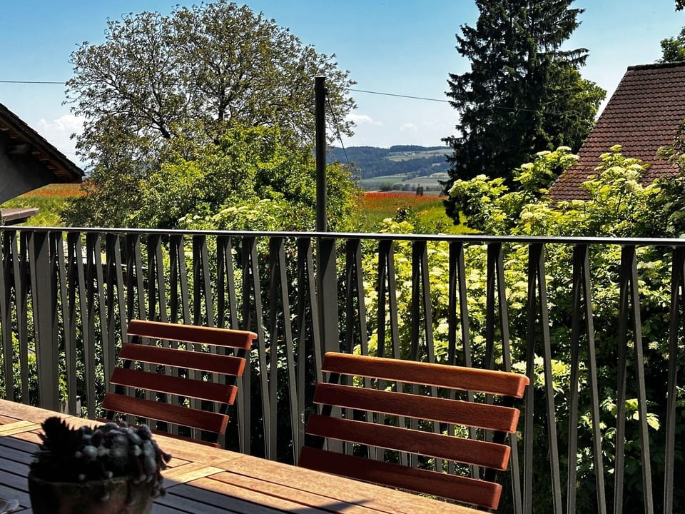 Enjoy the beautiful view from your balcony