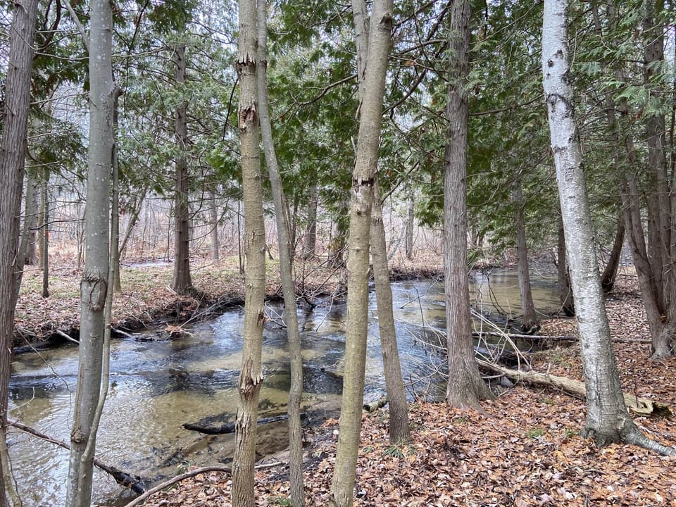 Acme Creek on KOTI property