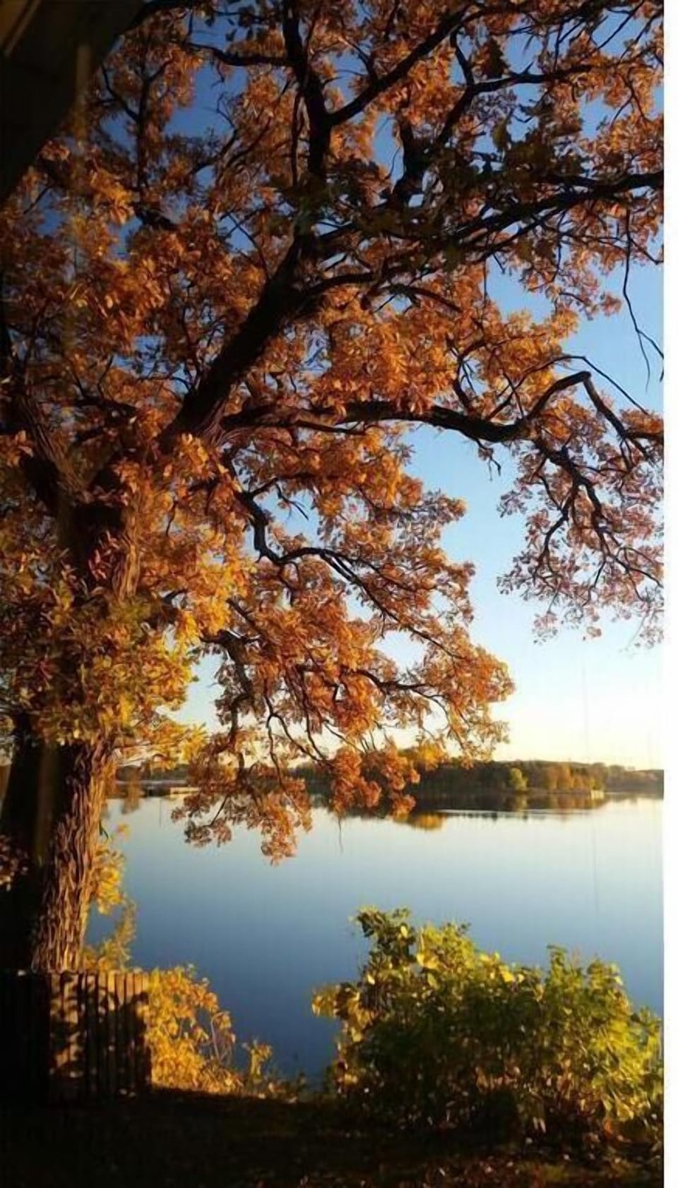 Fall on the Lake. See the beautiful colors changing from the back deck. 
