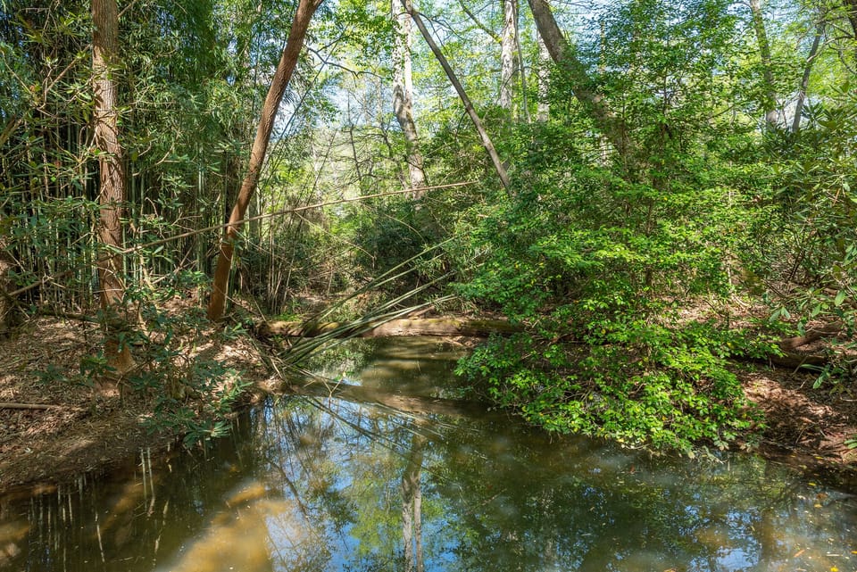 Tomahawk Branch Creek.