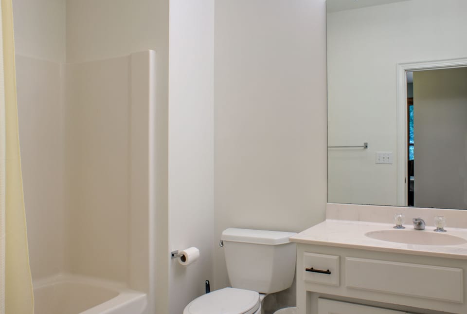 Main Level Hall Bath with Tub & Shower Combo
