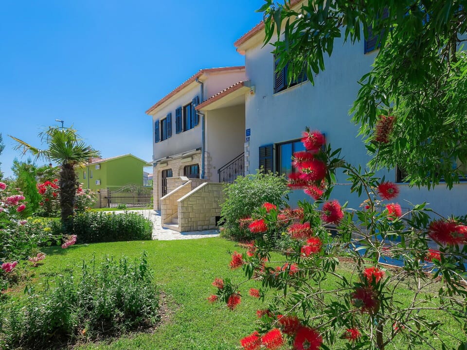 Plant, Flower, Building, Sky, Window, House, Tree, Cottage, Grass, Facade
