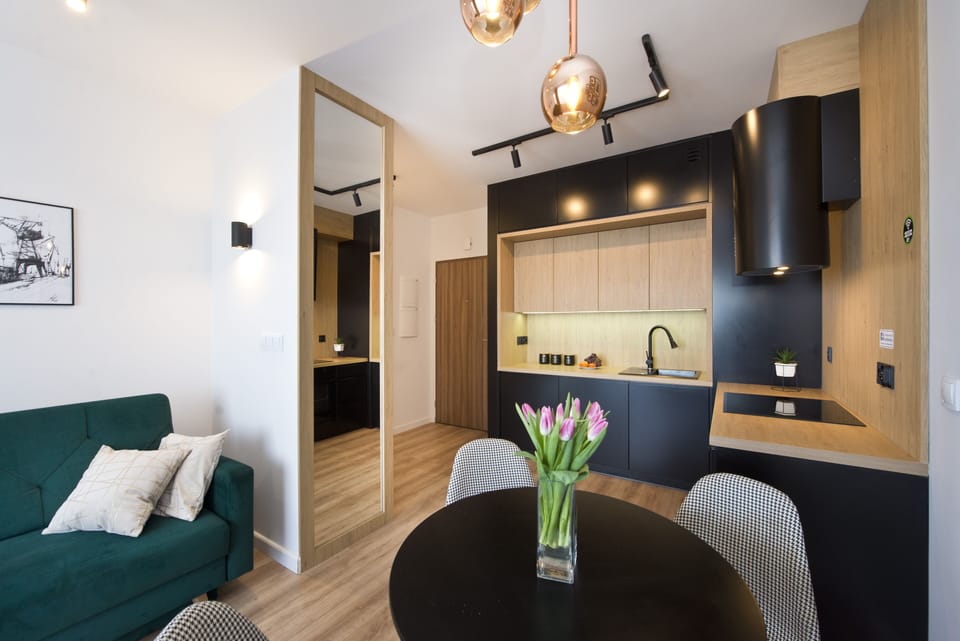 Standard Apartment | Private kitchen | Full-size fridge, microwave, stovetop, dishwasher