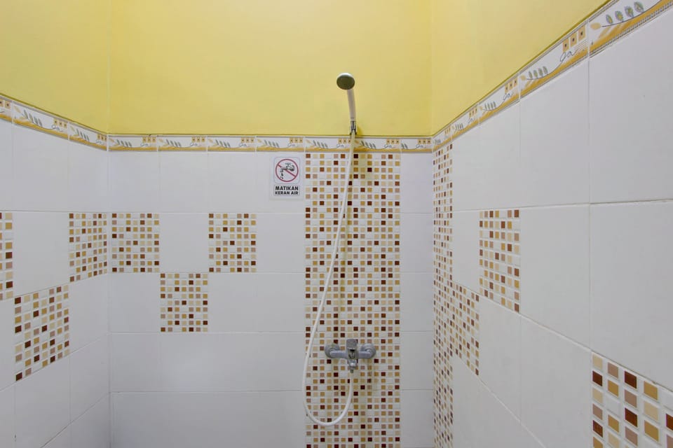 Deluxe Double Room | Bathroom | Shower, towels, soap, shampoo