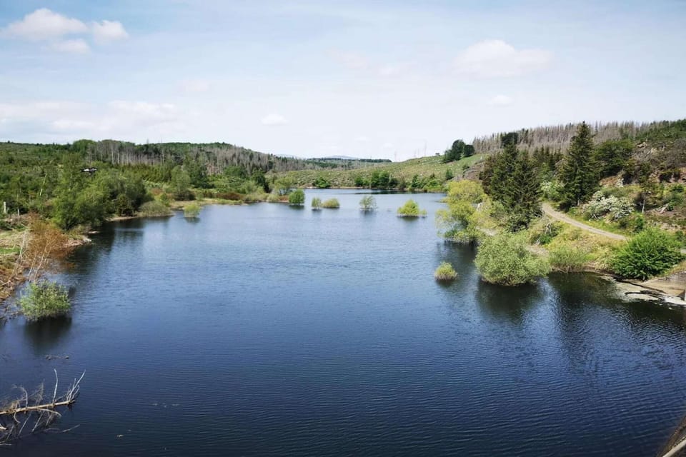 Region [summer] (>5 km)