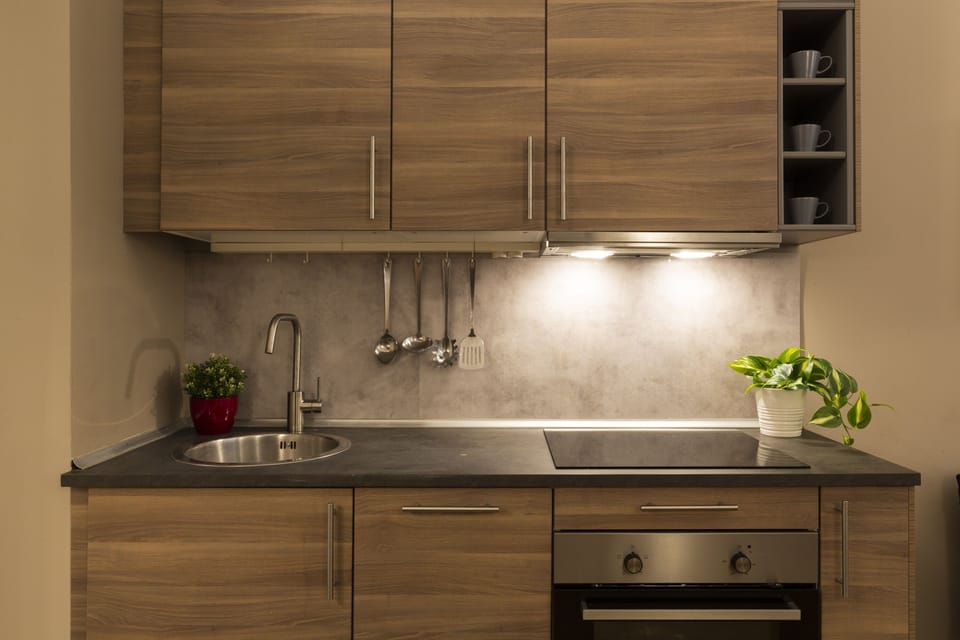 City Apartment | Private kitchen | Fridge, oven, stovetop, dishwasher