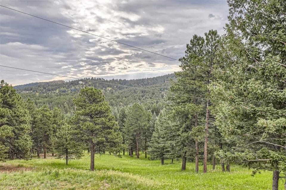 The front of the house in the summer months, surrounded by lush green trees that provide shade and a natural, peaceful ambiance.