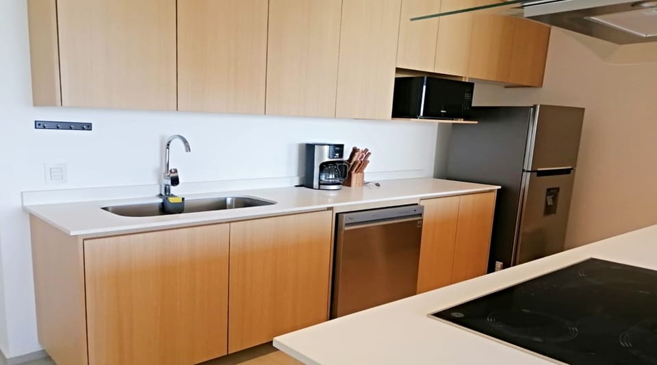 Deluxe Apartment | Private kitchen | Full-size fridge, dishwasher, cookware/dishes/utensils