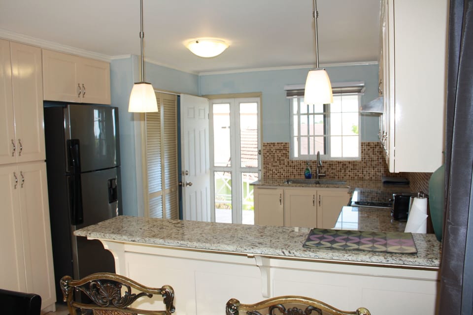 Fridge, microwave, stovetop, electric kettle