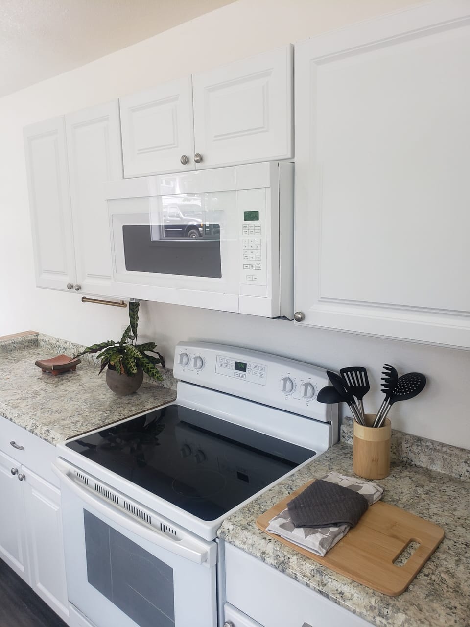 The Twins have an impressive kitchen.  Not so tiny in Space, Storage or Wares.