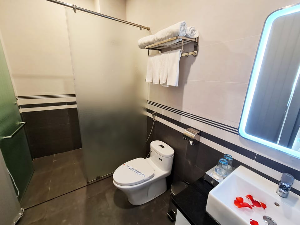 Shower, rainfall showerhead, hair dryer, slippers