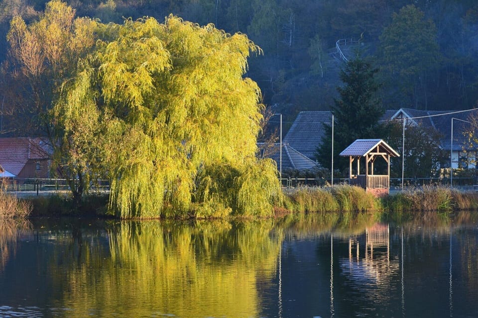 Surroundings [summer] (1-5 km)