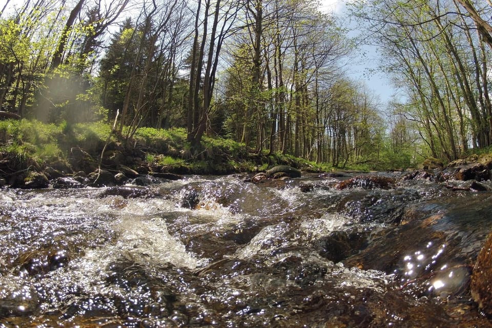 Surroundings [summer] (1-5 km)