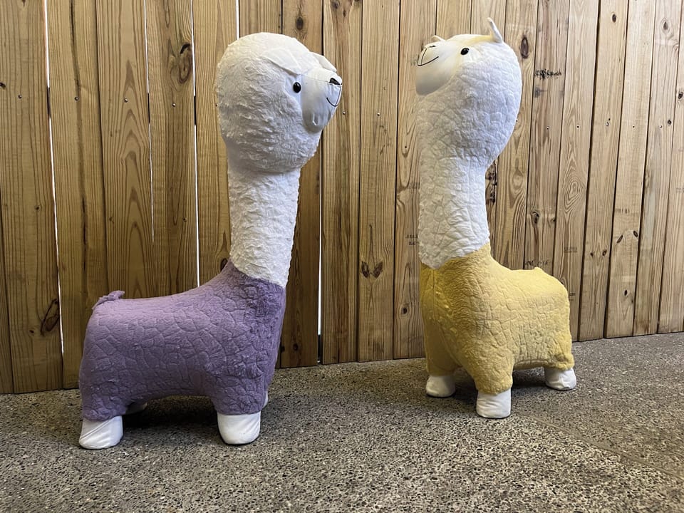 Slippers, towels