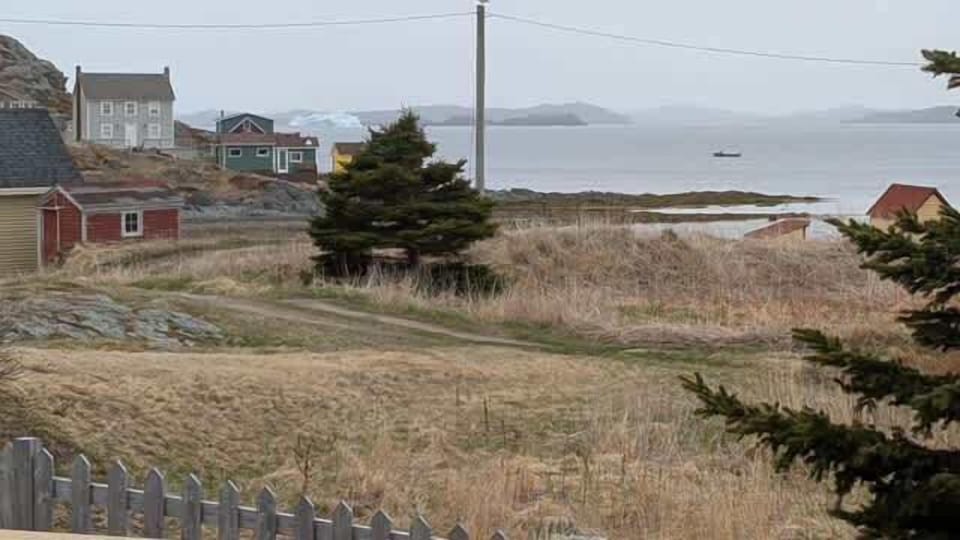 Icebergs from 2025 season