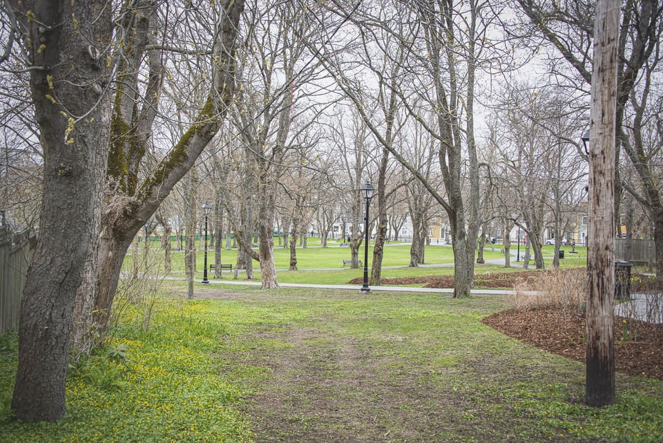 Property grounds