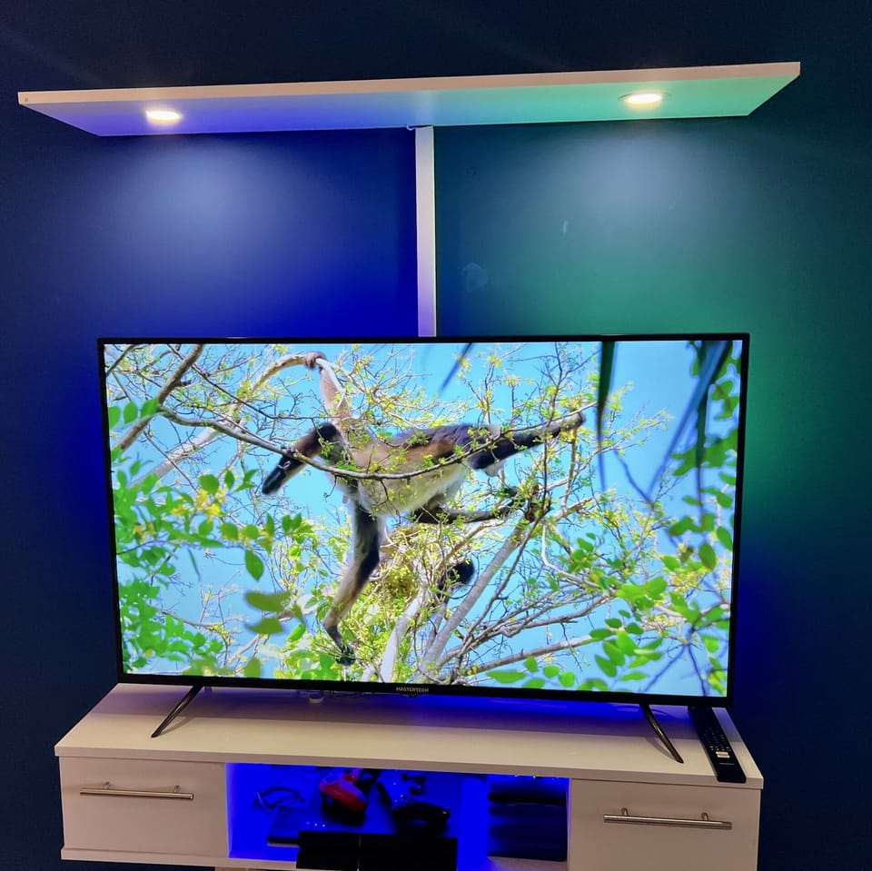 Television