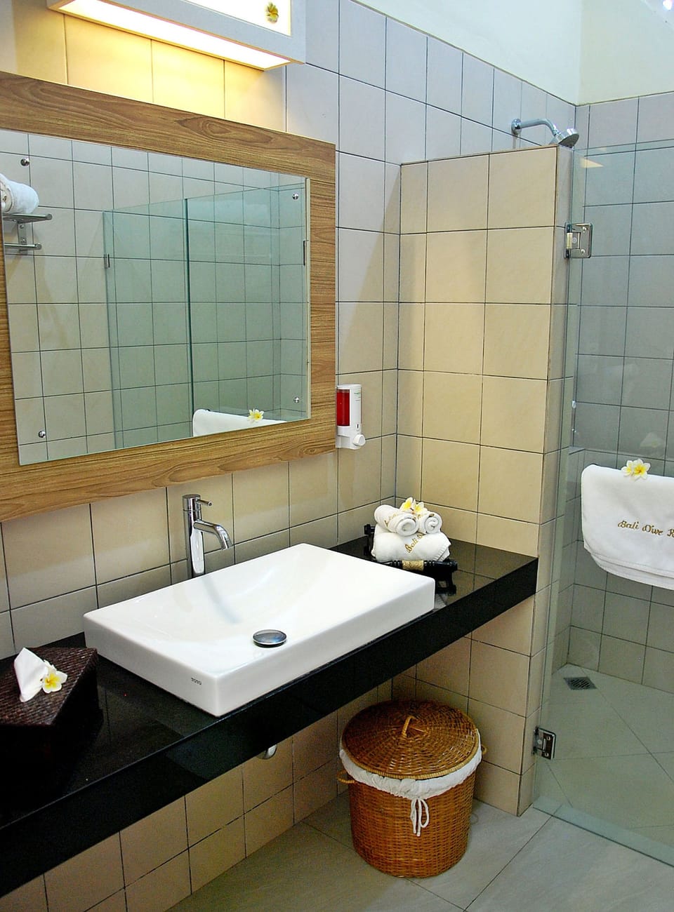 Shower, rainfall showerhead, free toiletries, hair dryer