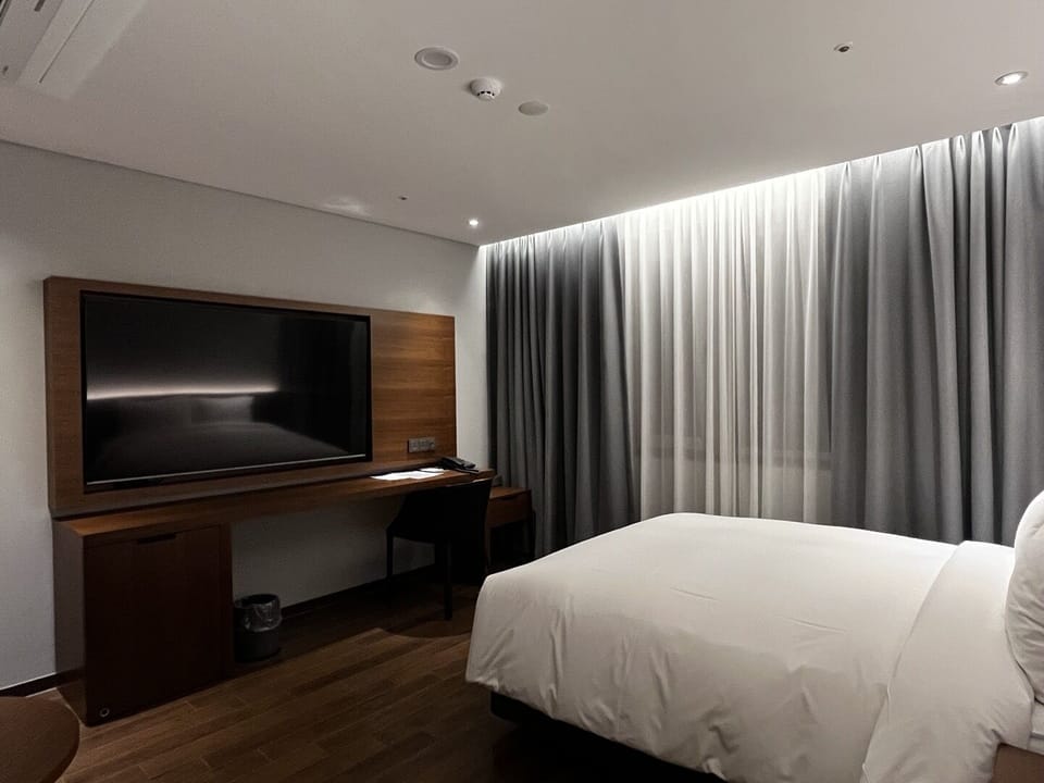 Deluxe Single Room | Desk, soundproofing, iron/ironing board, free WiFi
