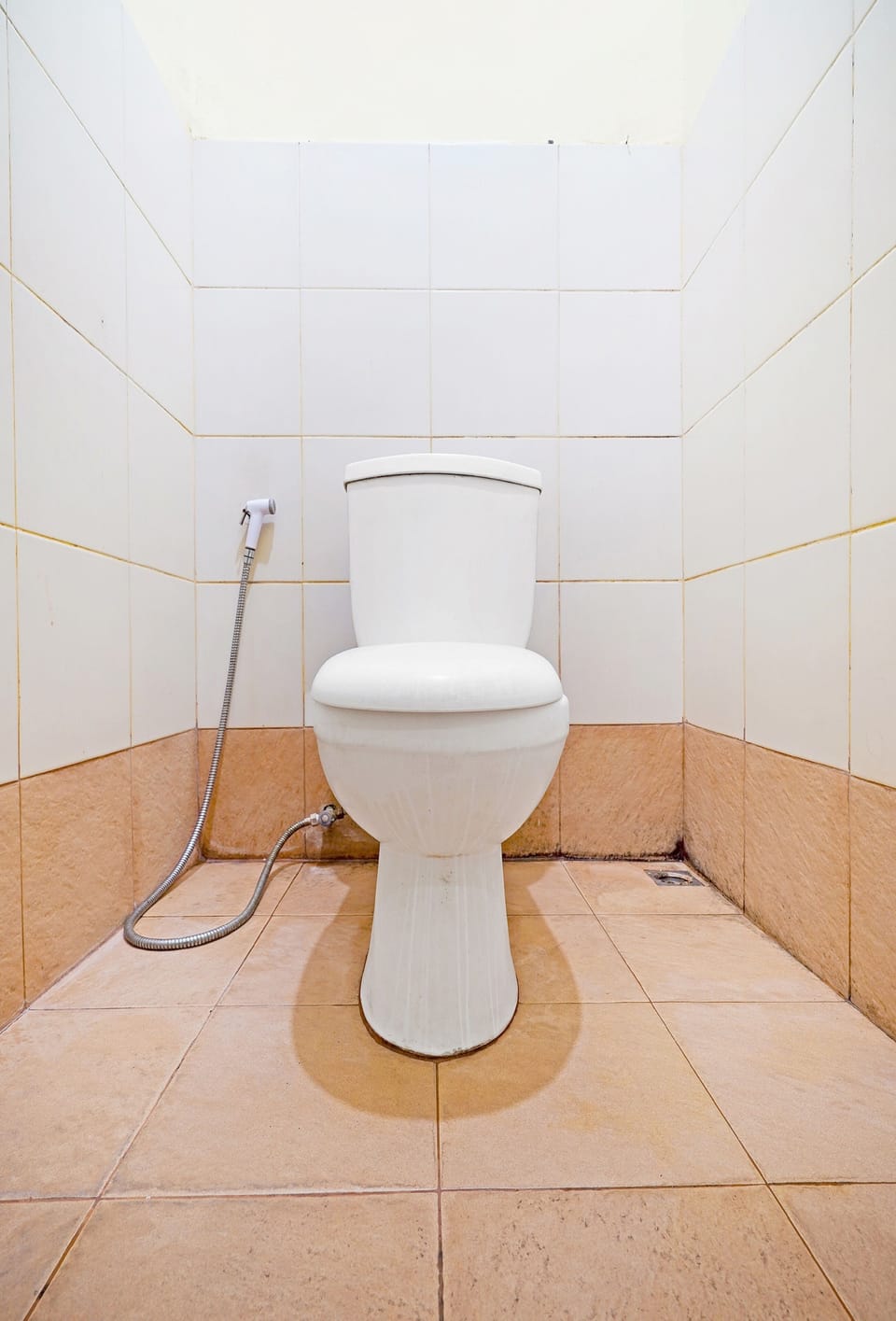 Shower, towels, toilet paper