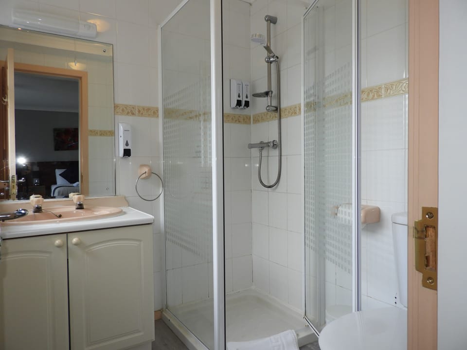 Deluxe Triple Room | Bathroom | Free toiletries, hair dryer
