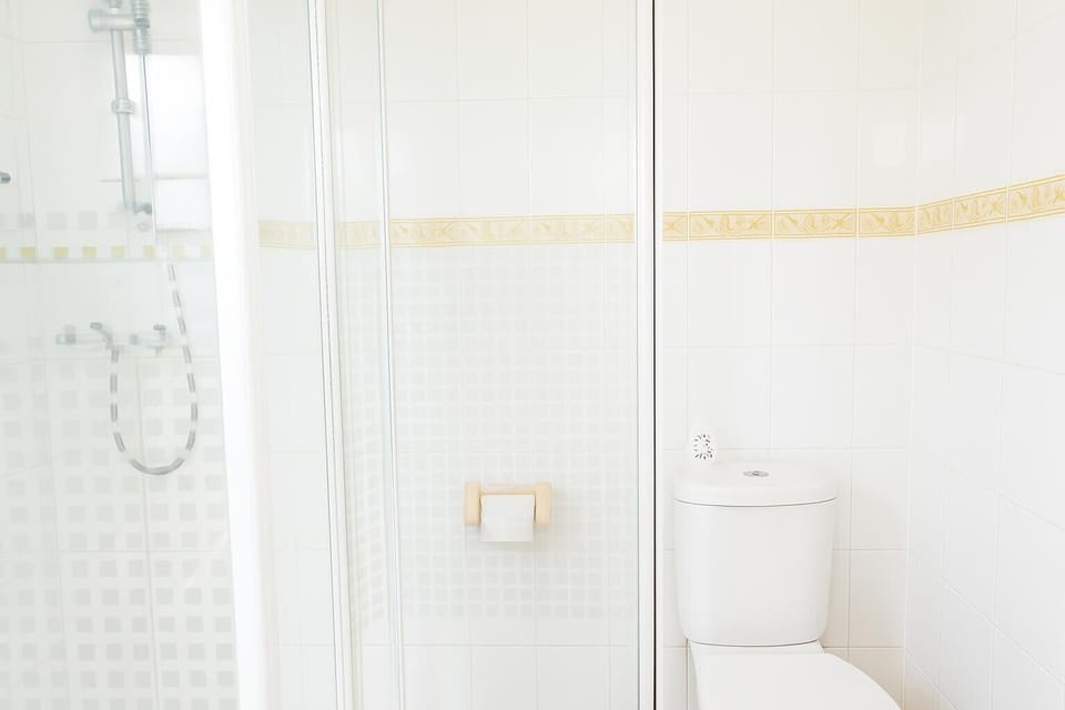 Deluxe Triple Room | Bathroom | Free toiletries, hair dryer