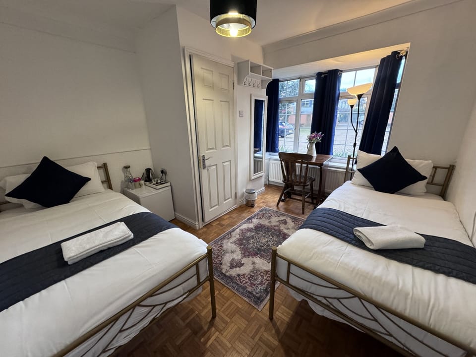 Deluxe Twin Room | Iron/ironing board, free WiFi