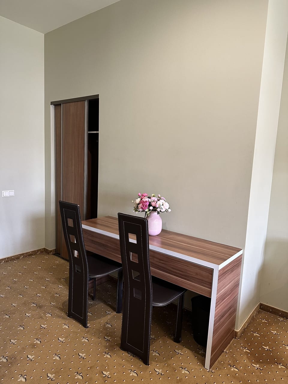 80-cm plasma TV with satellite channels, TV