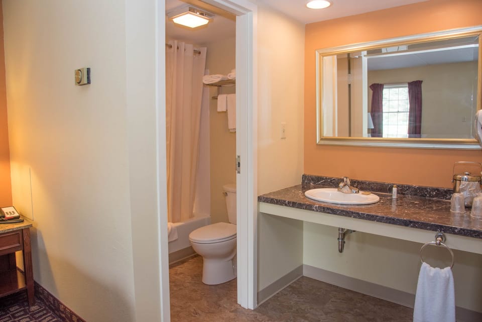 Combined shower/tub, free toiletries, hair dryer, towels