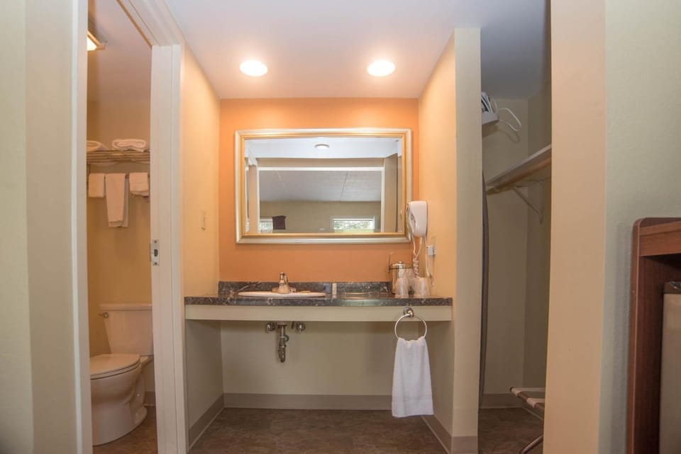 Combined shower/tub, free toiletries, hair dryer, towels