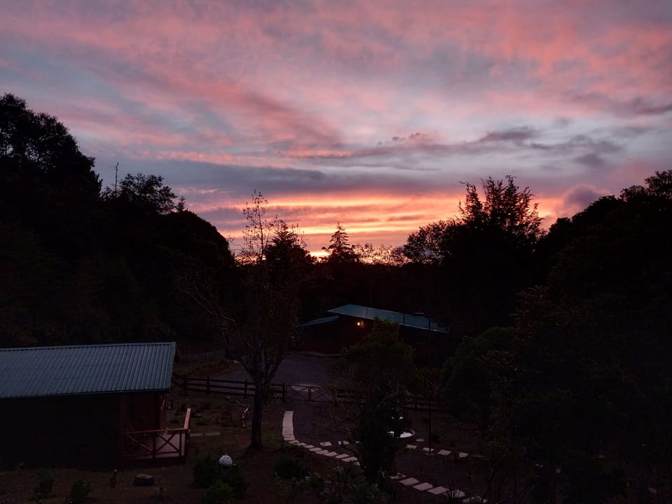 Curuba Lodge Lodge in San José Province