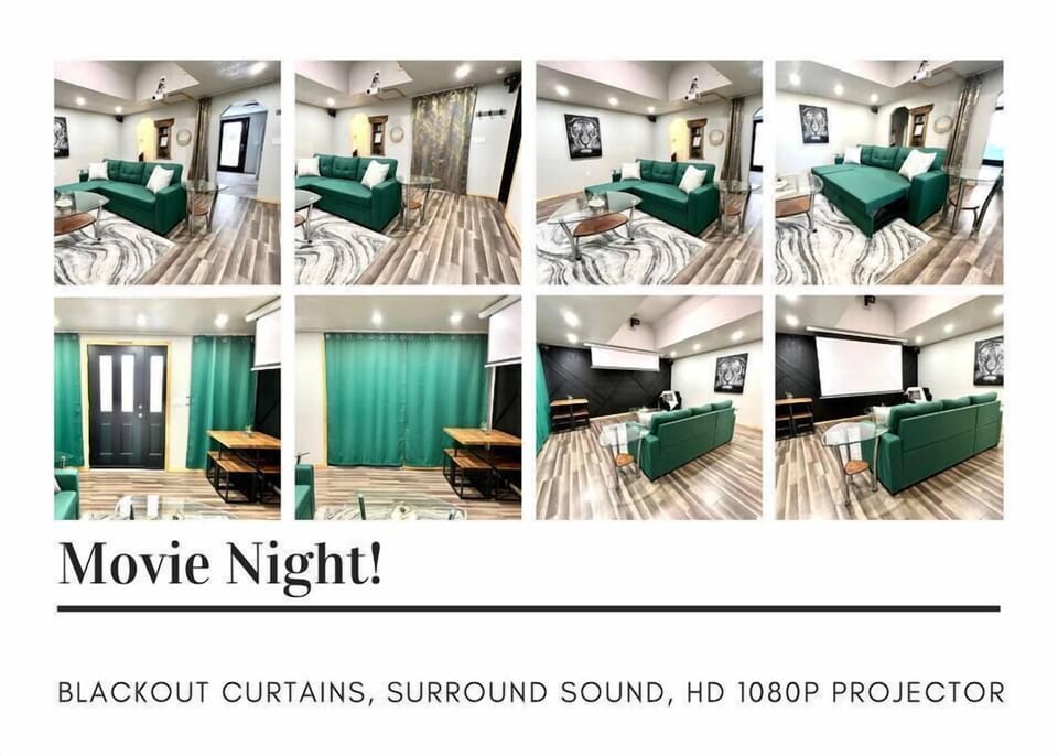 Drop down projector for Movie Night!!