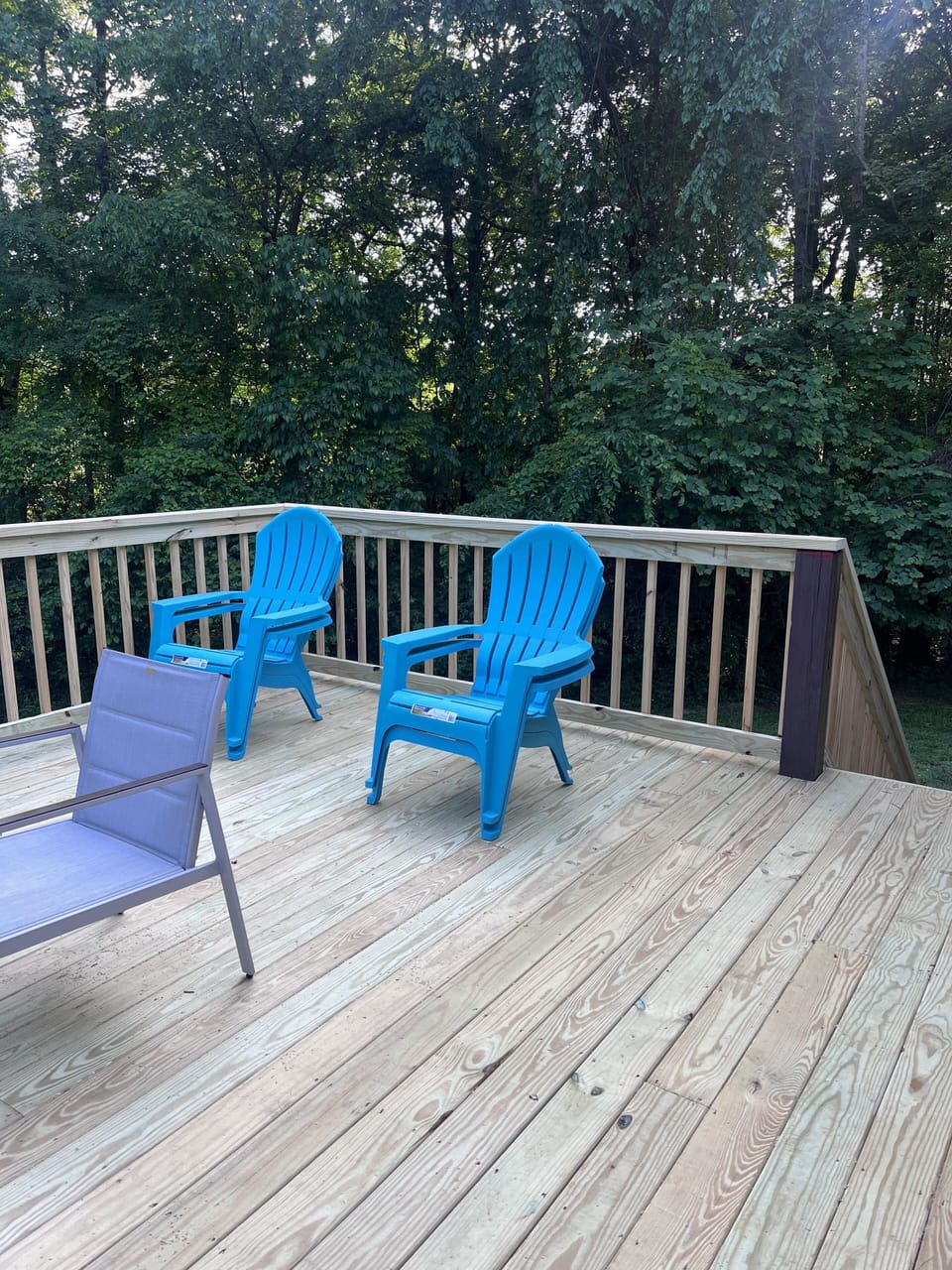 Brand New back deck is looking great! 