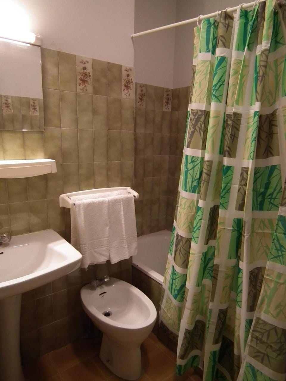 Hair dryer, bidet, towels