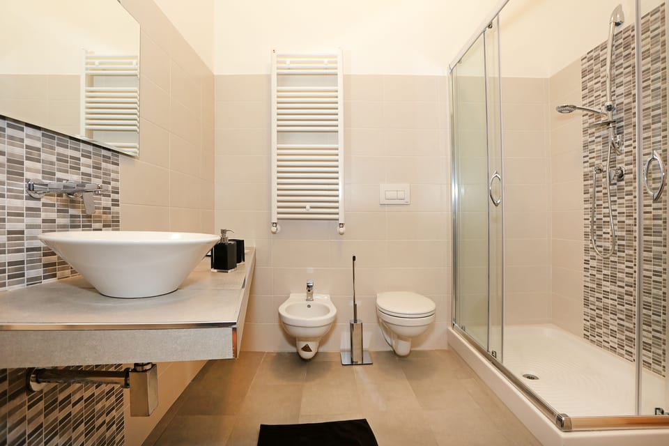 Shower, free toiletries, hair dryer, bidet