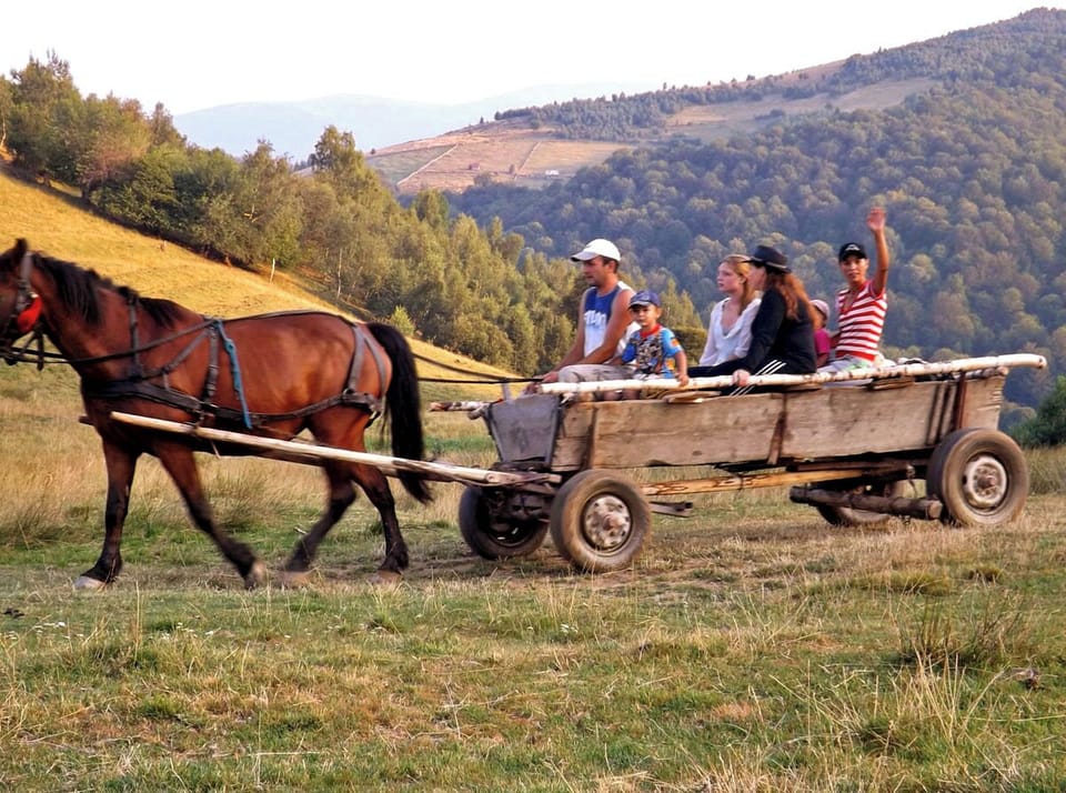 Horseback riding