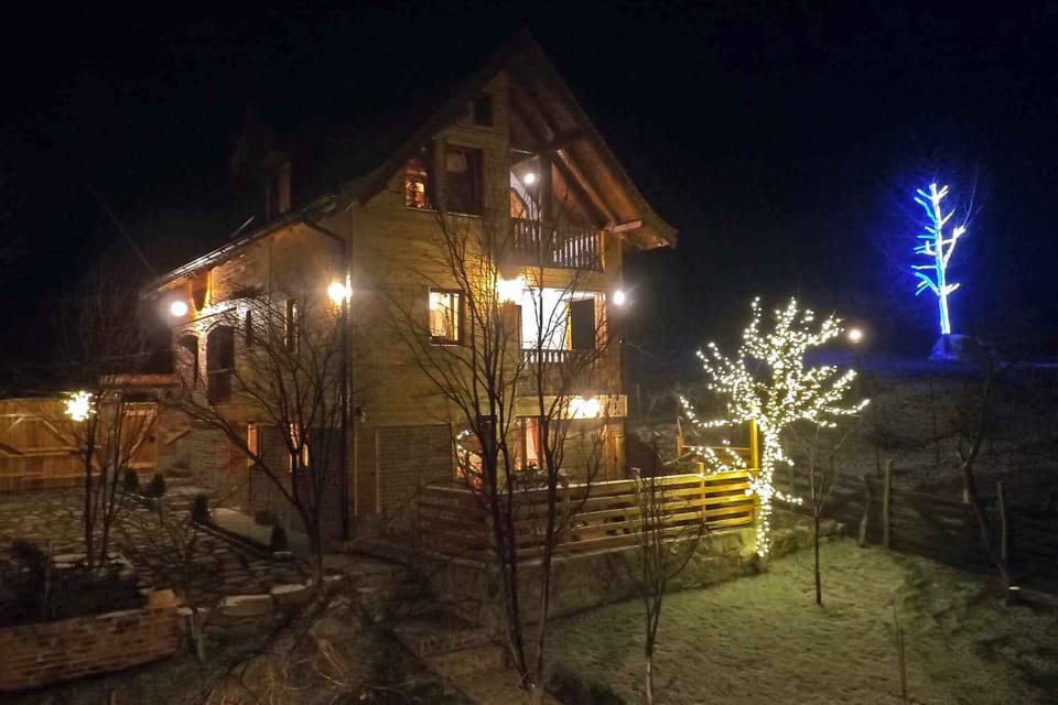 Casa Zollo 2 House in Romania