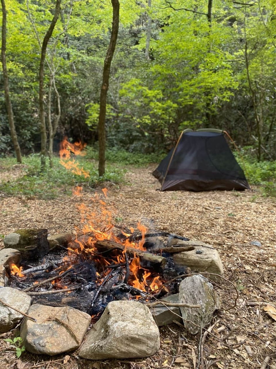 Rock fire rint