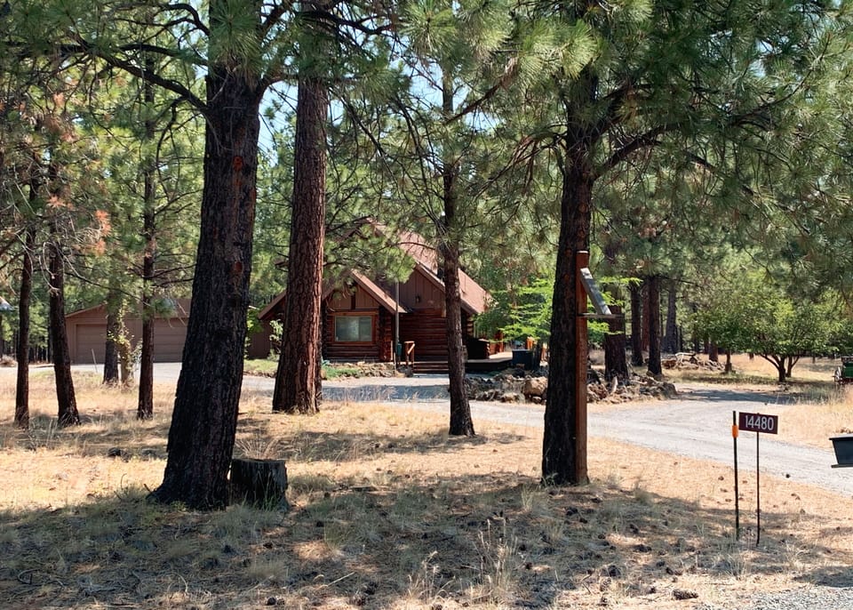 02 In the Pines
