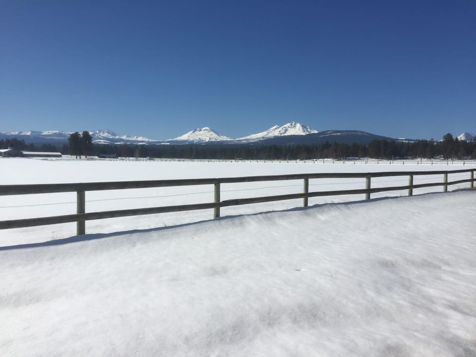 24 Winter wonder too