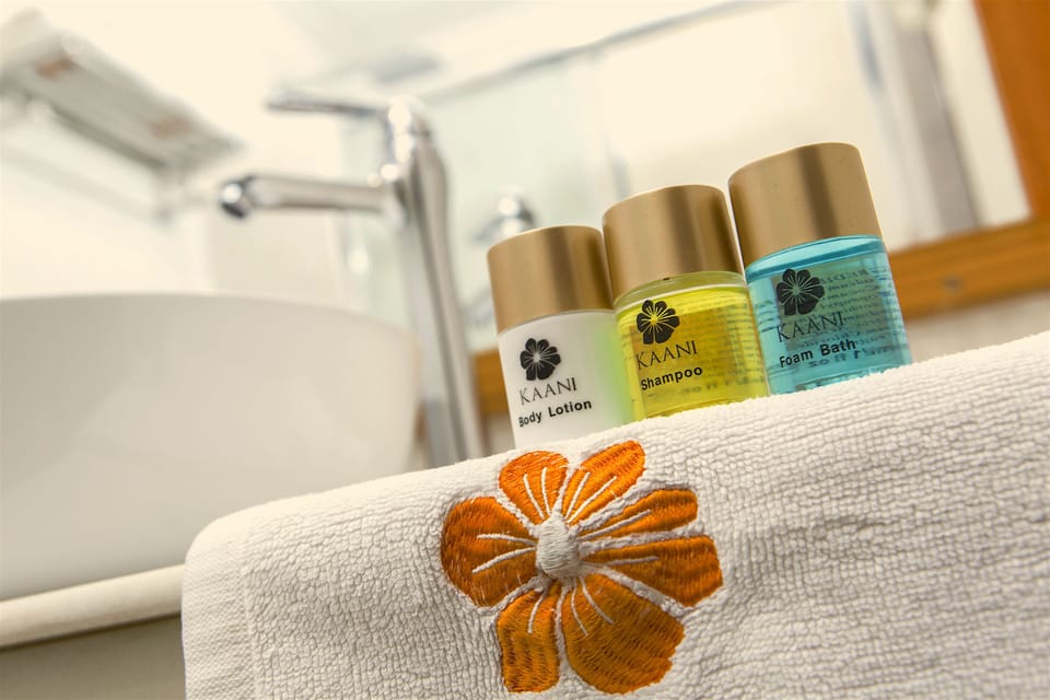 Deluxe Double Room | Bathroom amenities | Rainfall showerhead, free toiletries, hair dryer, towels