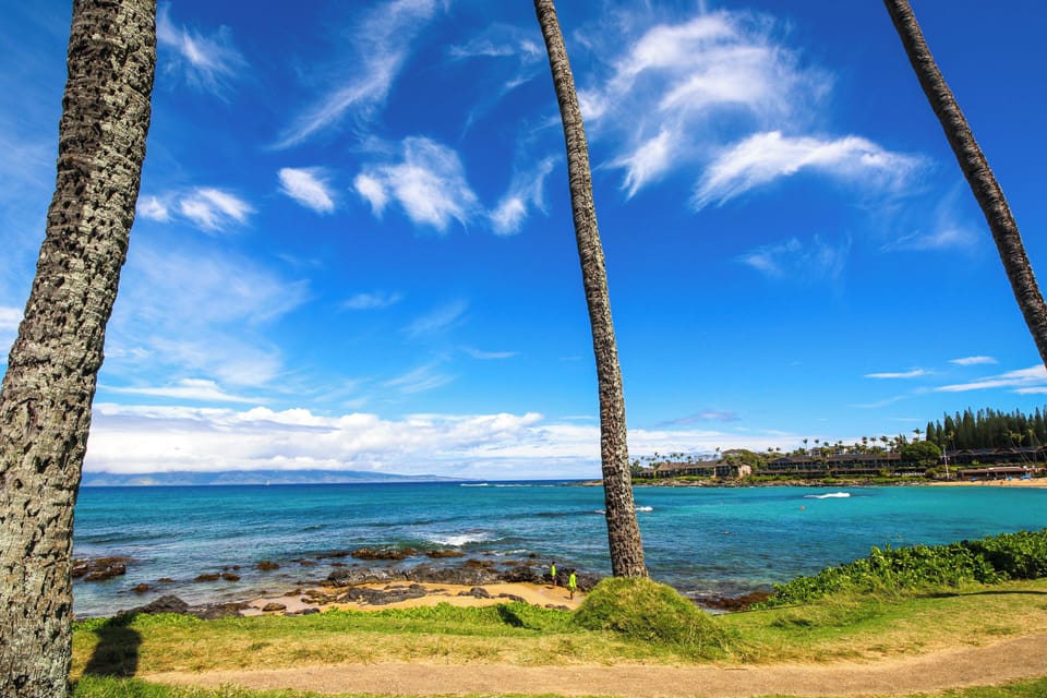 Walk to Napili Bay Beach! Mtn-view Lahaina Condo Apartment in Kapalua