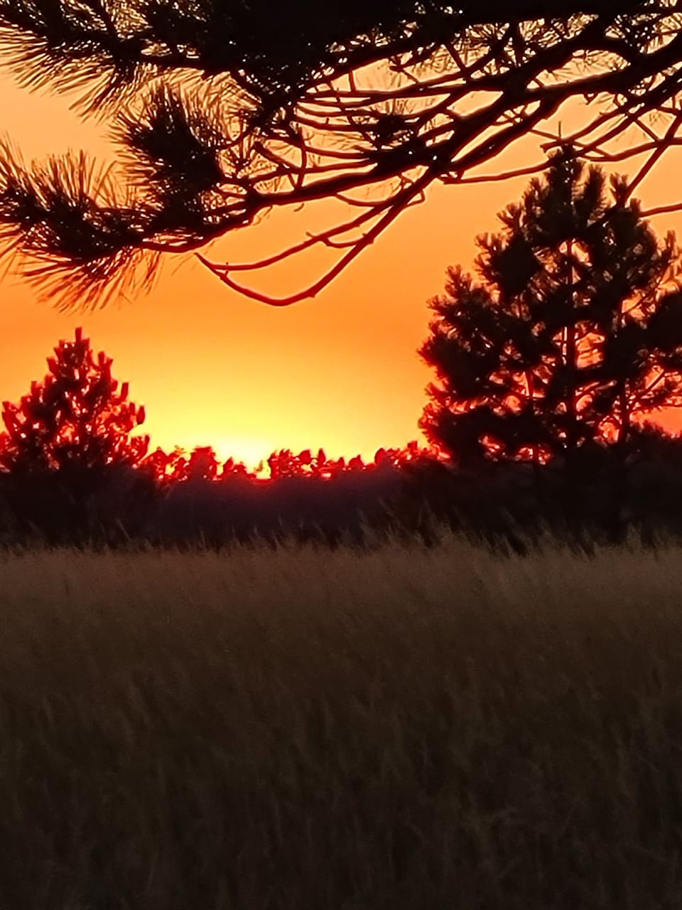 Sunsets are spectacular all over the Black Hills so have your camera ready!