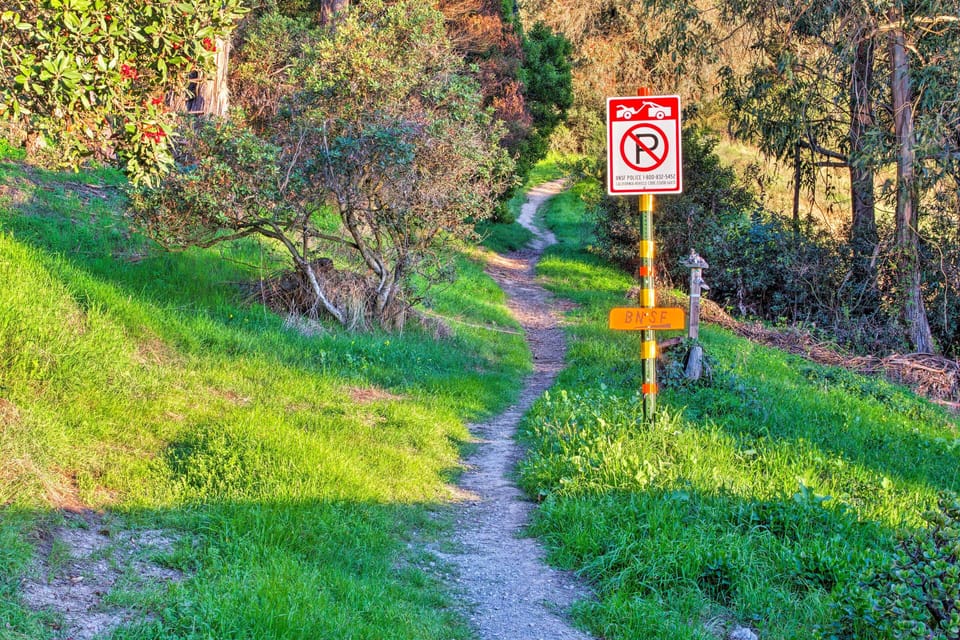 Apartment (0 Bedroom) | Interior