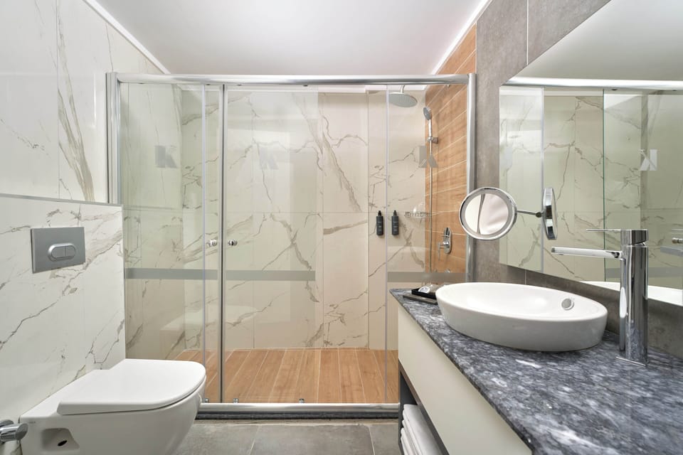 Deluxe Room | Bathroom | Shower, hair dryer, towels